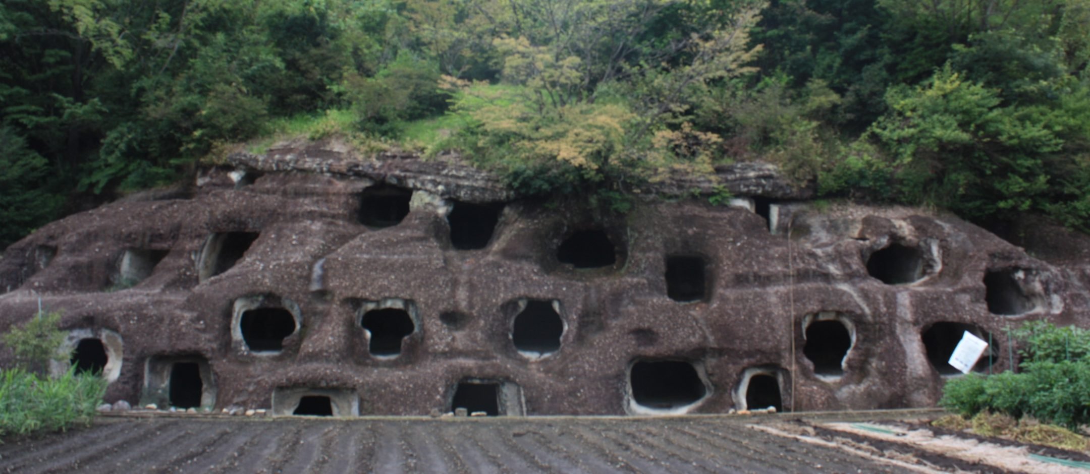 🗿 나가오카 백혈 고분(나가오카햐쿠아나코훈)